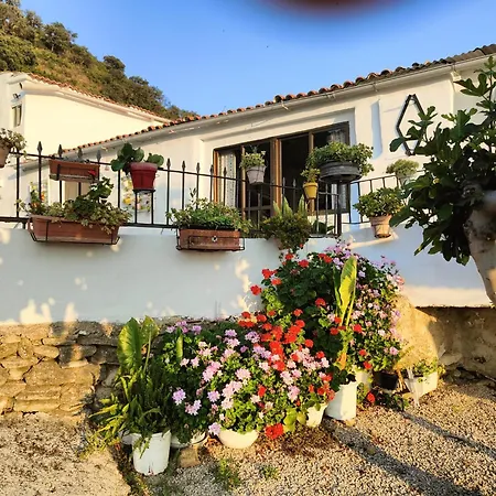 Con Maravillosas Vistas, Bbq Y Piscina Ронда